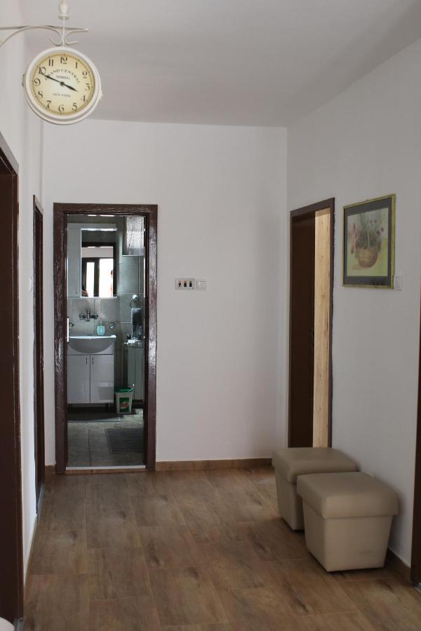 M Apartment Vrsac Exterior photo